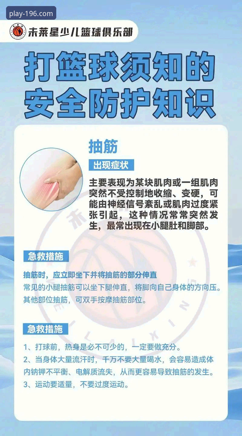 196体育官网平台安全使用详解：新手必看指南